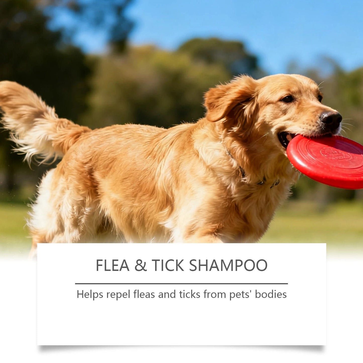 PawShield Flea Defense Shampoo